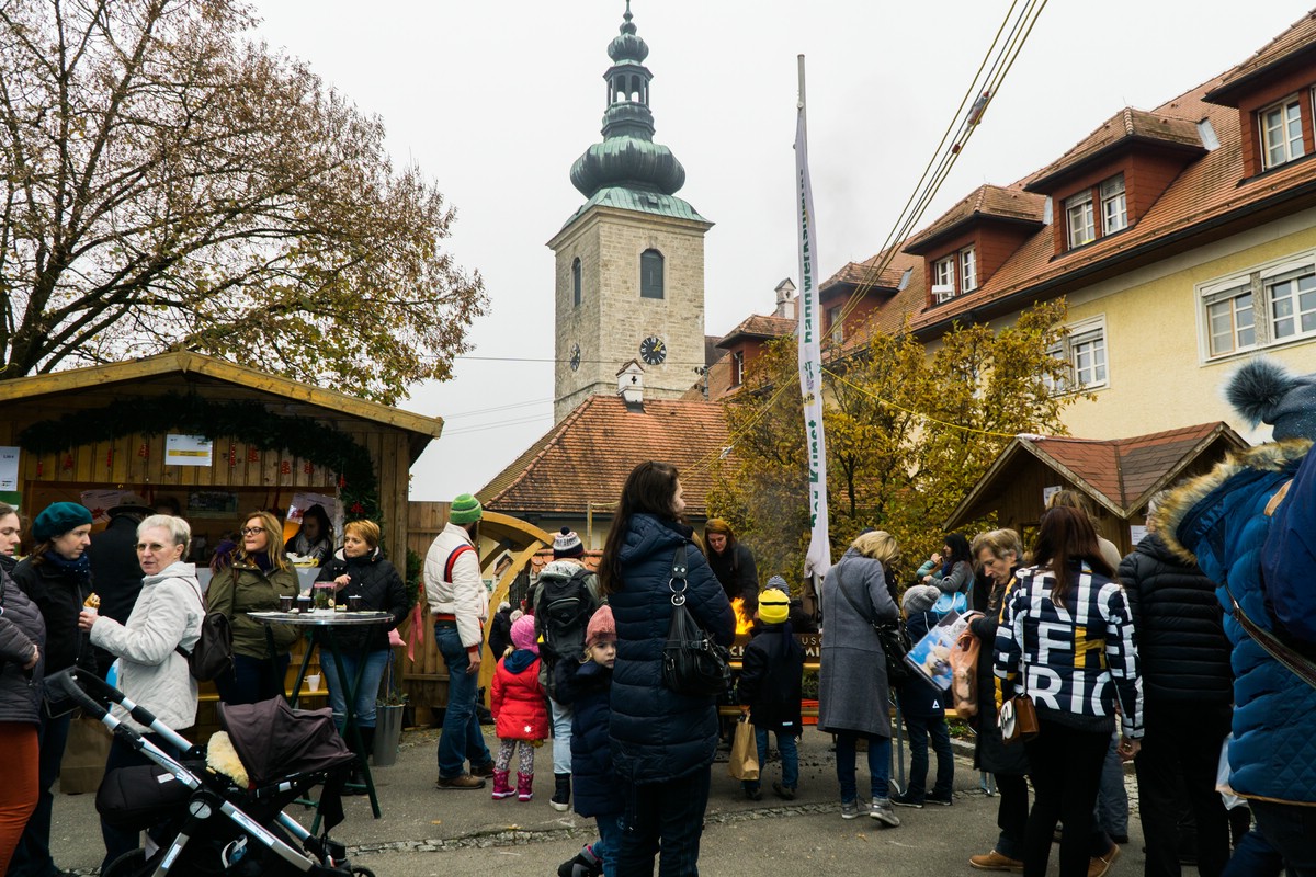 O Fotomagazin / Martinimarkt in Steinerkirchen 2016